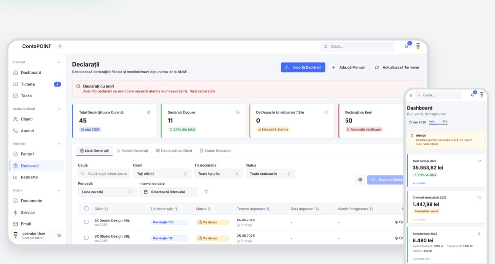 ContaPOINT - Manager Contabilitate, mockup de proiect